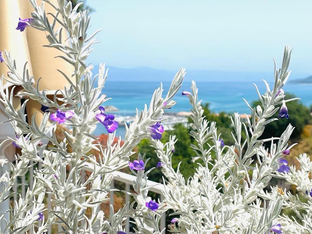 S'O Suites Tropea Exterior photo